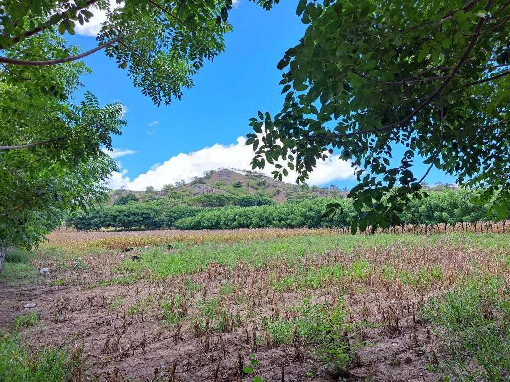 Absolute beachfront land for sale in Kertasari West Sumbawa 26 hectares