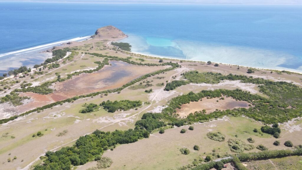 Tua Nanga Coastline and Bay
