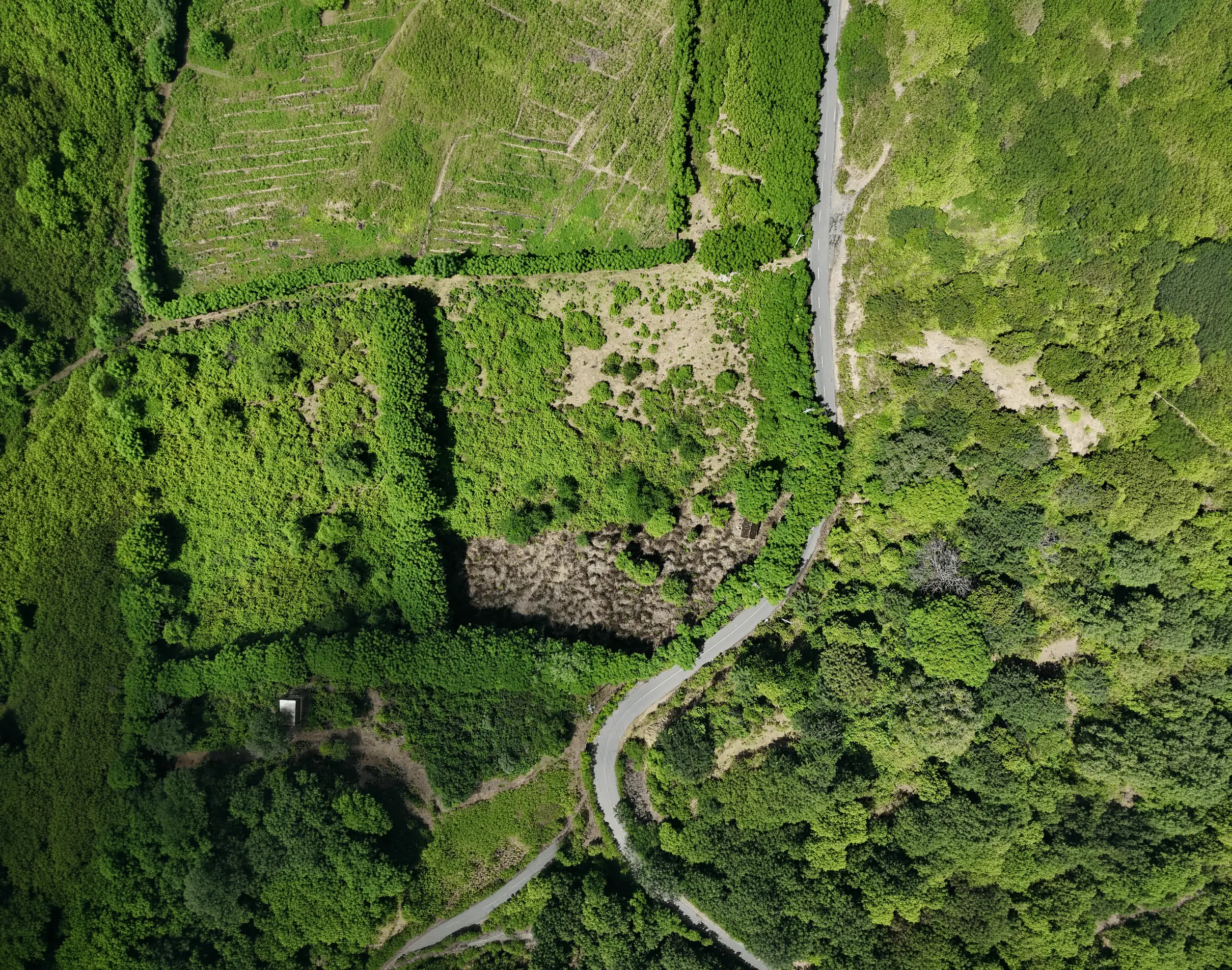 1 Hectare Block Moro Bay Kertasari