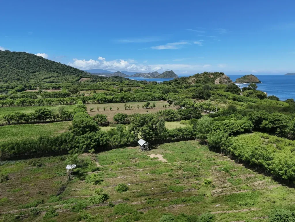 1.04 Hectares Block Moro Bay Kertasari