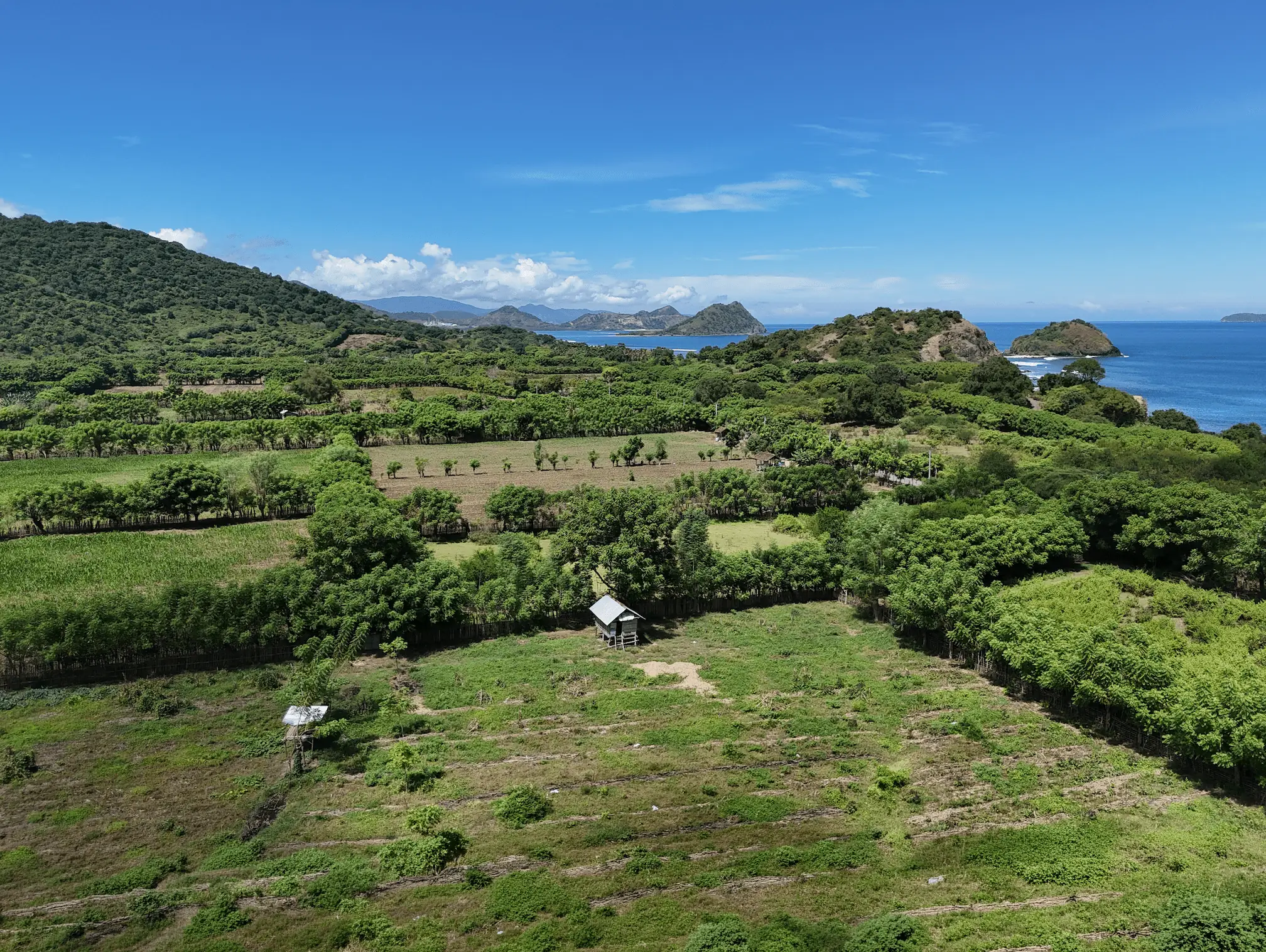 1 Hectare Block Moro Bay Kertasari