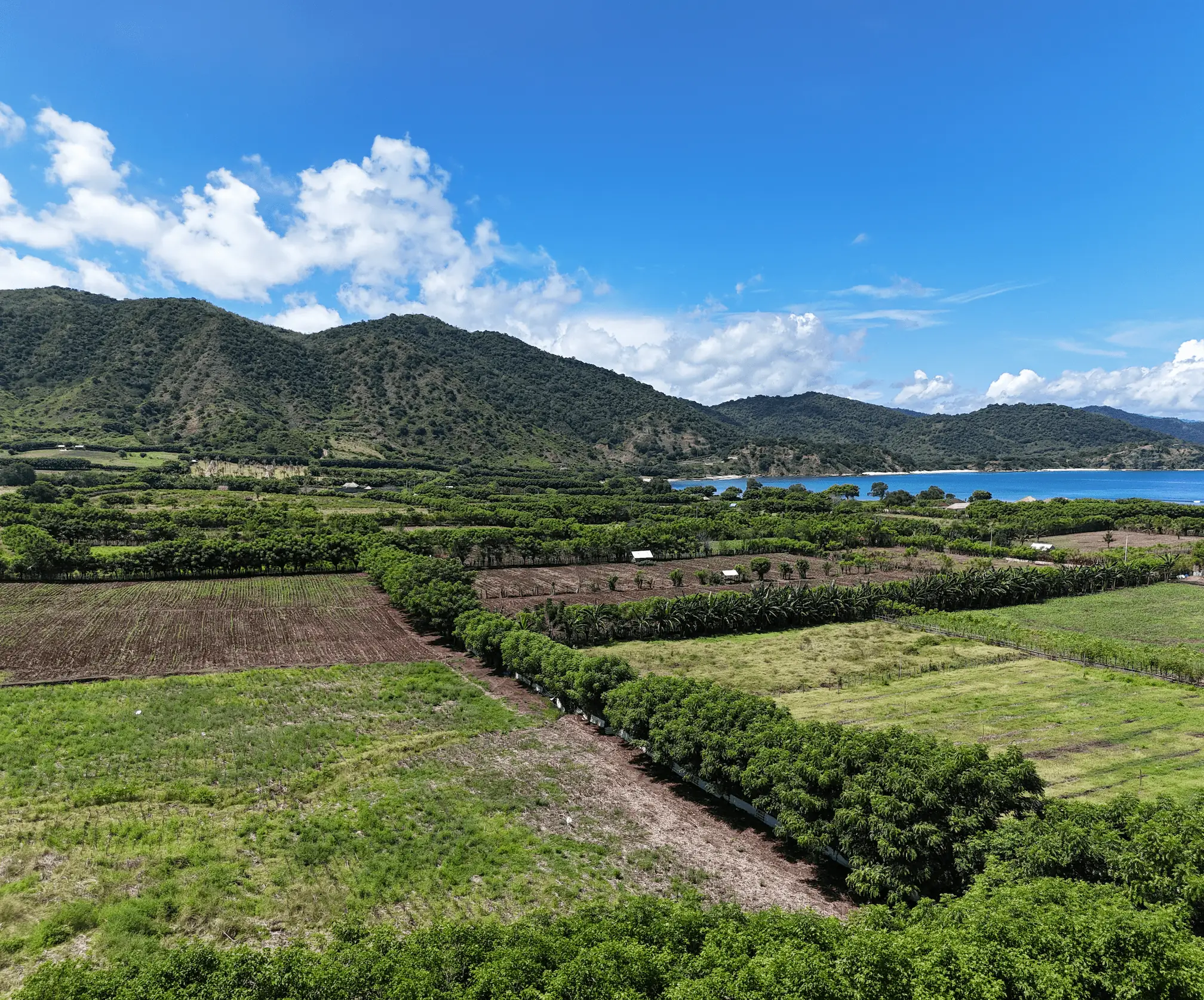 Elevated 1 Hectare Block Moro Bay