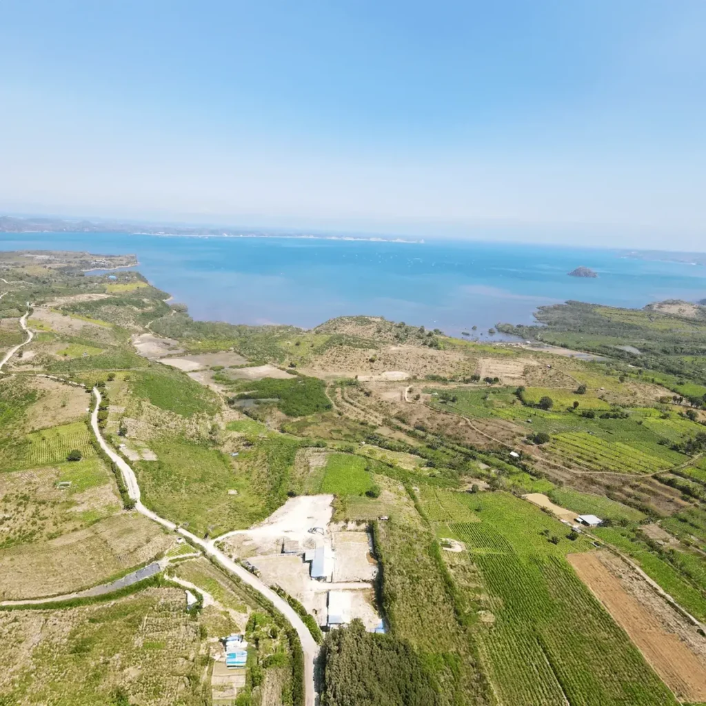 Aerial view of green coastal fields and a broad blue bay — Awang Bay, South Lombok
