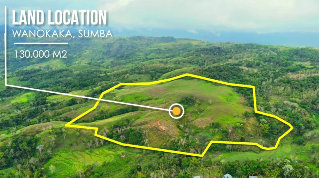 Aerial land location plan with the large plot outlined in yellow at Bora Dewa, Bora Dewa, West Sumba