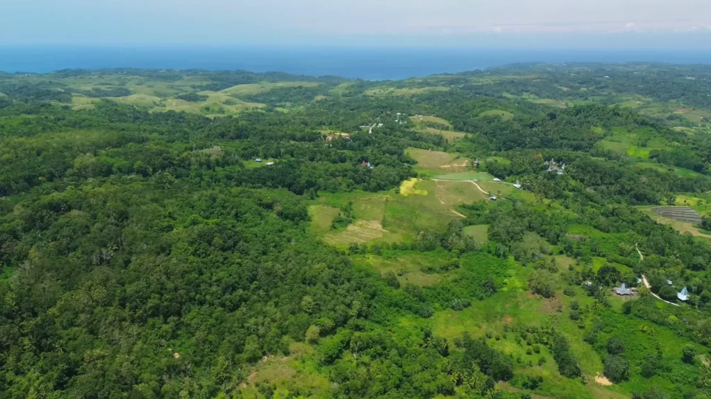 Wide panorama of green farmland and wooded hills at Bora Dewa, Bora Dewa, West Sumba