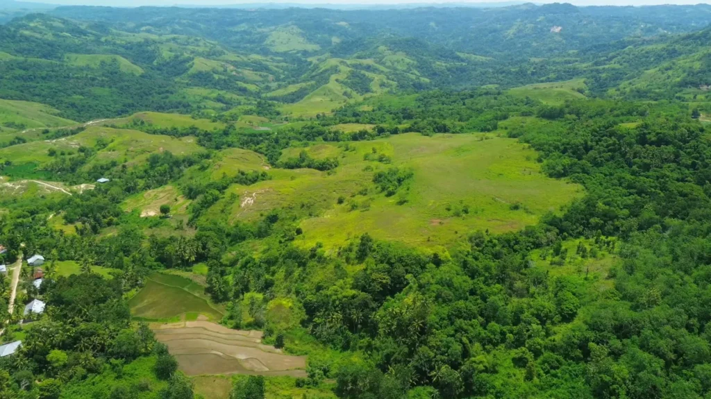 Aerial view of open fields surrounded by trees at Bora Dewa, Bora Dewa, West Sumba