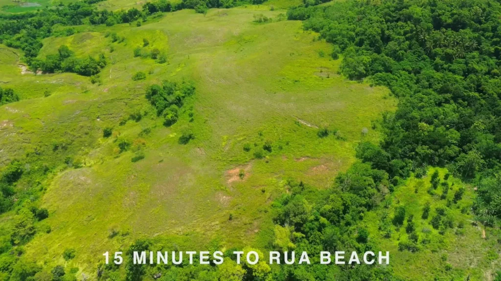 Open grassland and scattered trees viewed from above at Bora Dewa, Bora Dewa, West Sumba