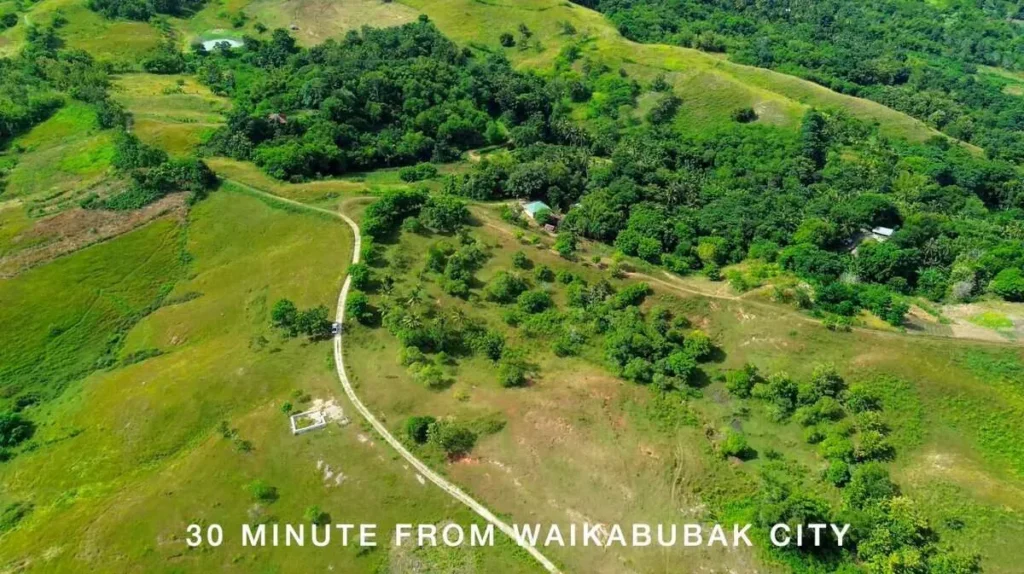 Aerial view of green fields, trees and the access road at Lahililoura, Hobawawi, West Sumba