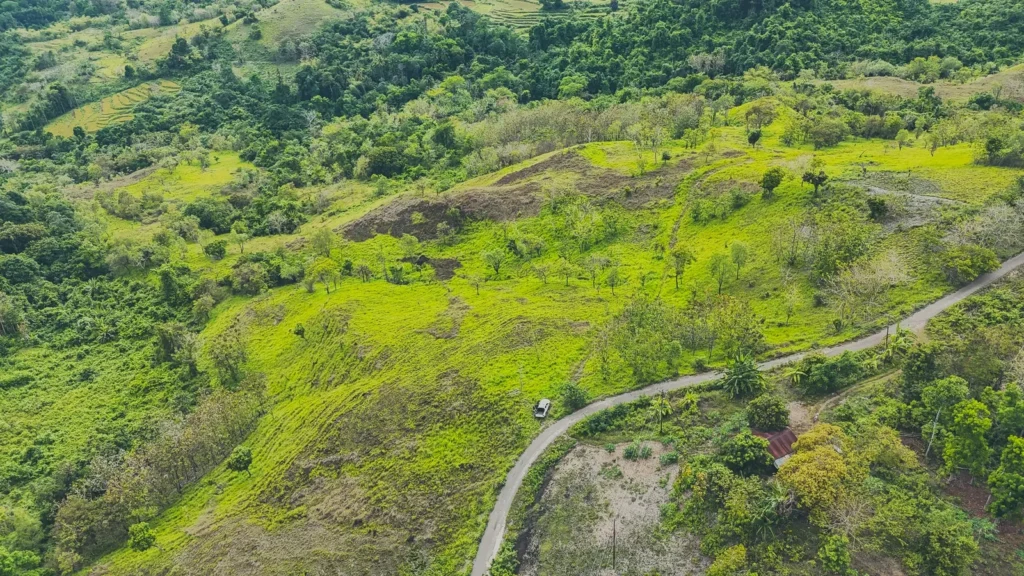 Aerial view of green slopes beside a winding road at Lapopu, Parirara, near Lapopu, West Sumba