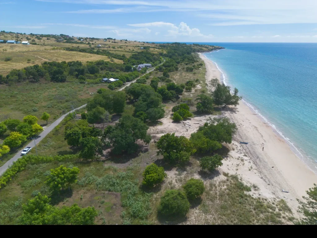Coastal access road beside trees and the white sand beach at Lenang Beachfront, Lenang, Umbu Ratu Nggay, Central Sumba