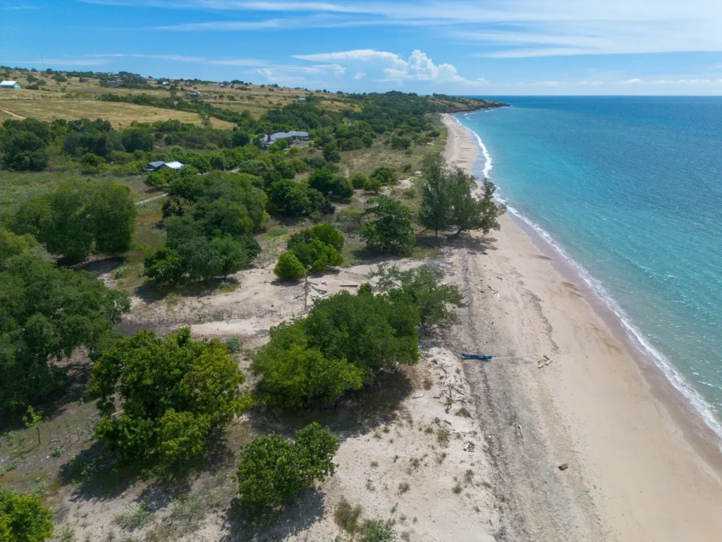 White sand beach with trees, a coastal road and blue ocean at Lenang Beachfront, Lenang, Central Sumba