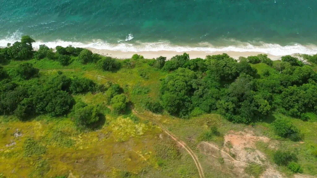 Coastal land and trees beside a white sand shoreline at South Lenang, South Lenang, Central Sumba