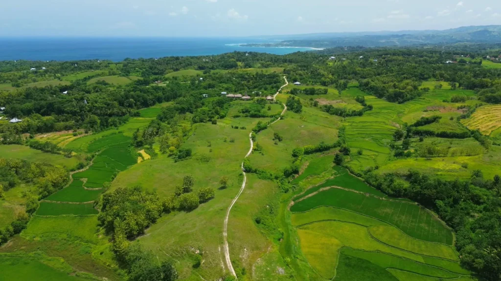 Aerial view of green fields and wooded hills at Weimangoma, Weimangoma, West Sumba